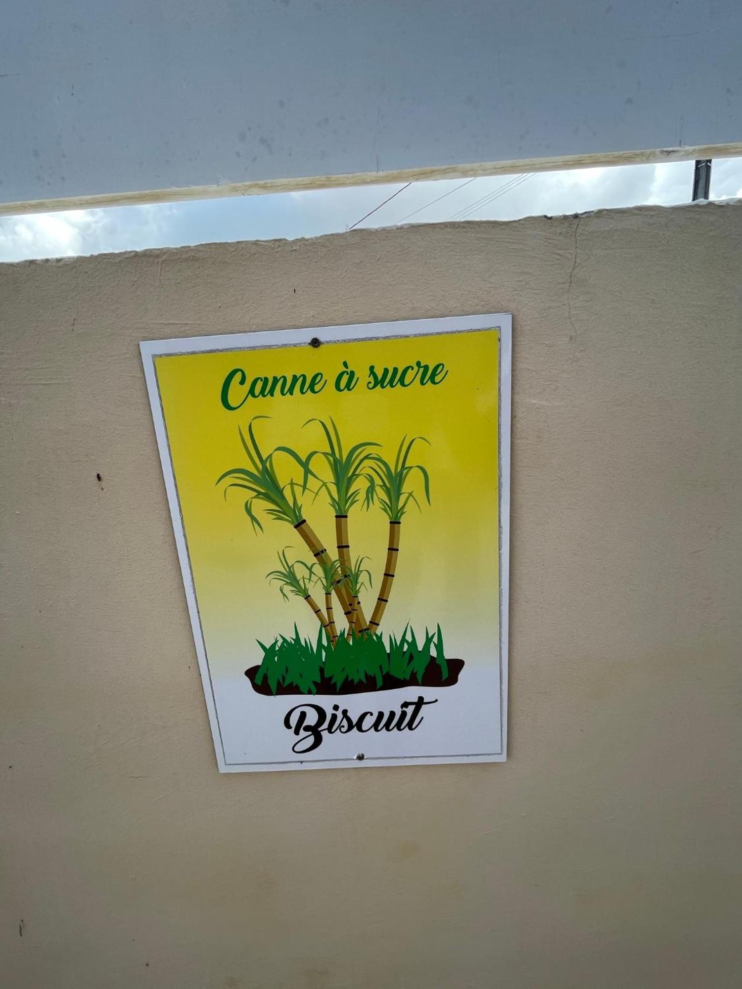 Biscuit - Gite Du Moulin Petit-Canal Exterior foto